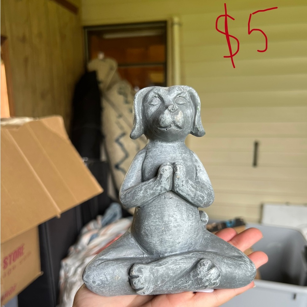 Dog meditating